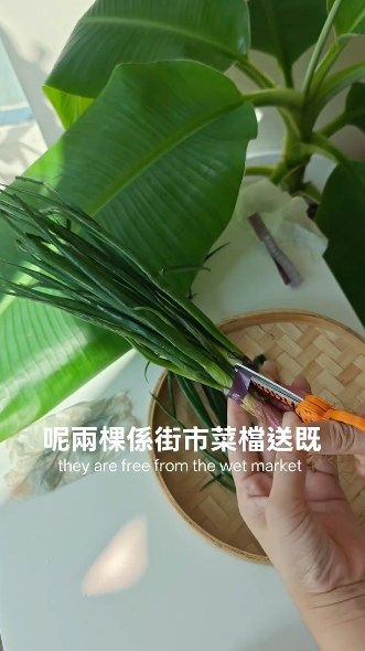 IG影片截圖